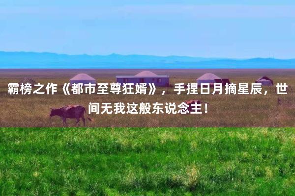 霸榜之作《都市至尊狂婿》，手捏日月摘星辰，世间无我这般东说念主！