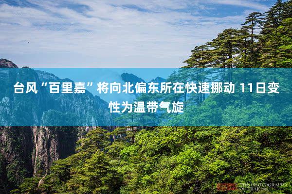 台风“百里嘉”将向北偏东所在快速挪动 11日变性为温带气旋