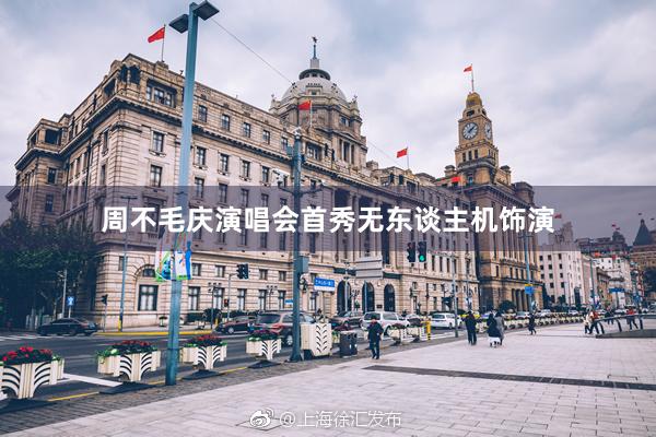 周不毛庆演唱会首秀无东谈主机饰演