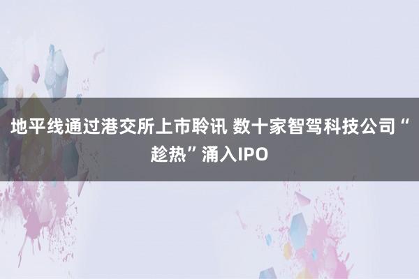 地平线通过港交所上市聆讯 数十家智驾科技公司“趁热”涌入IPO