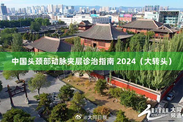 中国头颈部动脉夹层诊治指南 2024（大转头）
