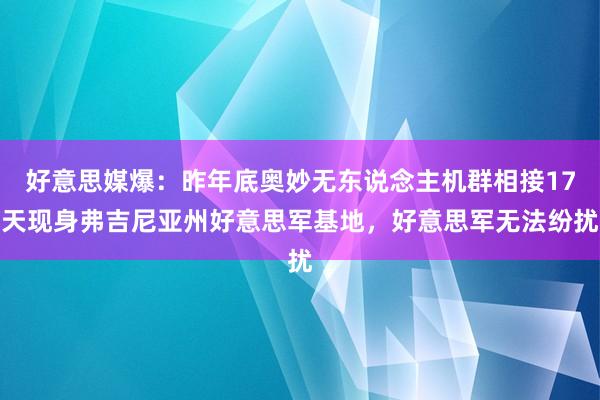好意思媒爆：昨年底奥妙无东说念主机群相接17天现身弗吉尼亚州好意思军基地，好意思军无法纷扰