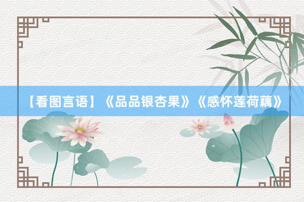 【看图言语】《品品银杏果》《感怀莲荷藕》