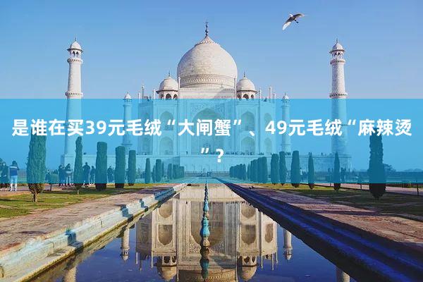 是谁在买39元毛绒“大闸蟹”、49元毛绒“麻辣烫”？