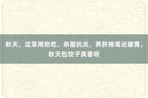 秋天，这菜用劲吃，杀菌抗炎，养肝排毒还暖胃，秋天包饺子真香呀