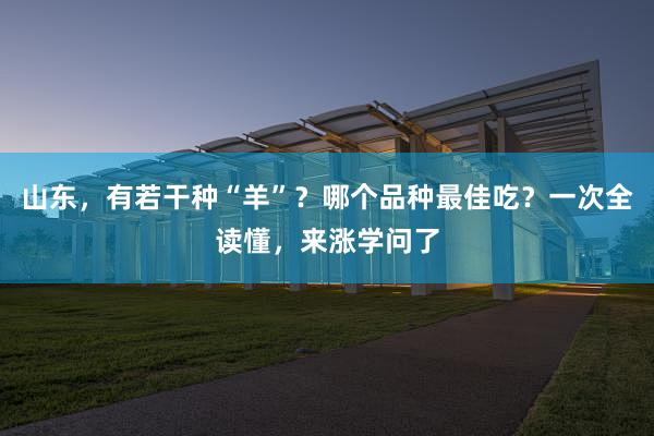 山东，有若干种“羊”？哪个品种最佳吃？一次全读懂，来涨学问了
