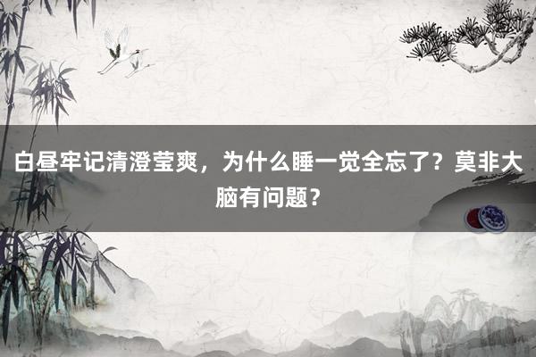 白昼牢记清澄莹爽，为什么睡一觉全忘了？莫非大脑有问题？