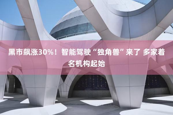 黑市飙涨30%！智能驾驶“独角兽”来了 多家着名机构起始
