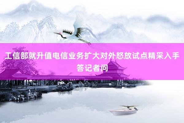 工信部就升值电信业务扩大对外怒放试点精采入手答记者问