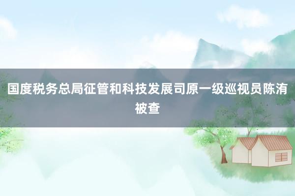 国度税务总局征管和科技发展司原一级巡视员陈洧被查