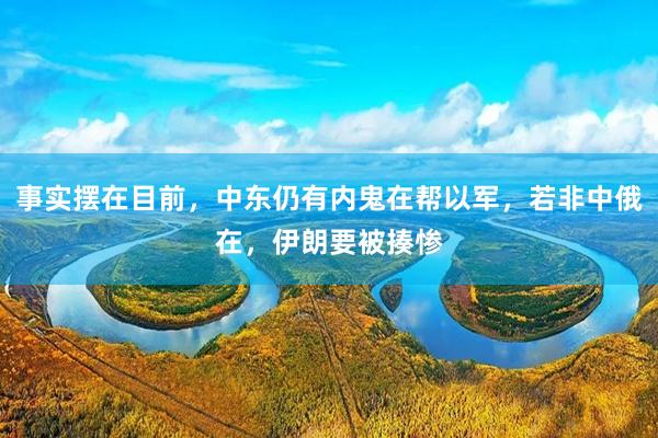 事实摆在目前，中东仍有内鬼在帮以军，若非中俄在，伊朗要被揍惨