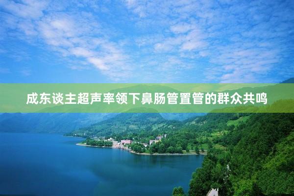 成东谈主超声率领下鼻肠管置管的群众共鸣