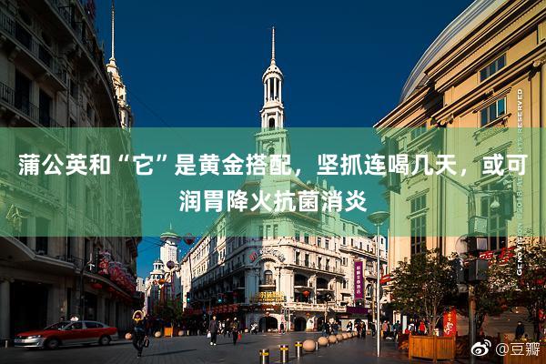 蒲公英和“它”是黄金搭配，坚抓连喝几天，或可润胃降火抗菌消炎