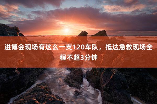 进博会现场有这么一支120车队，抵达急救现场全程不超3分钟