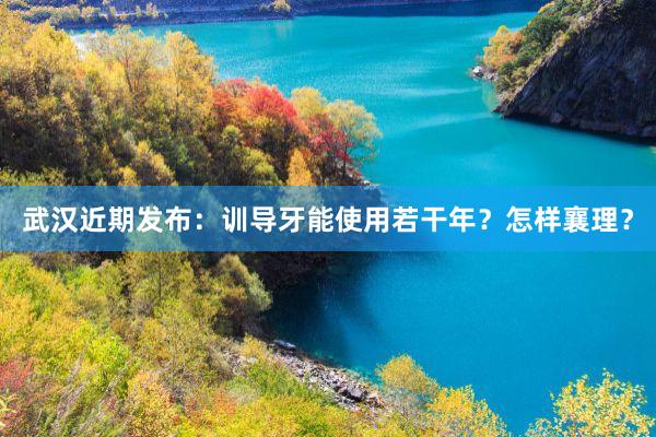 武汉近期发布：训导牙能使用若干年？怎样襄理？