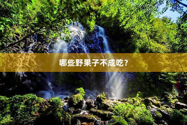 哪些野果子不成吃？