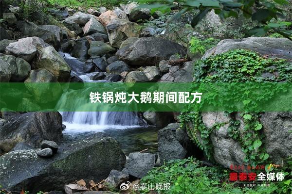铁锅炖大鹅期间配方