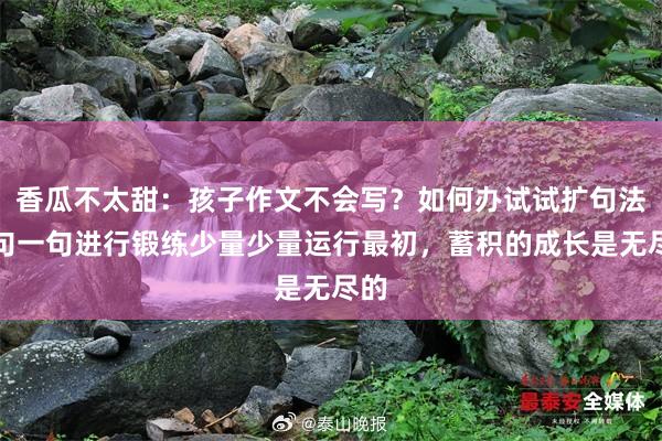 香瓜不太甜：孩子作文不会写？如何办试试扩句法一句一句进行锻练少量少量运行最初，蓄积的成长是无尽的