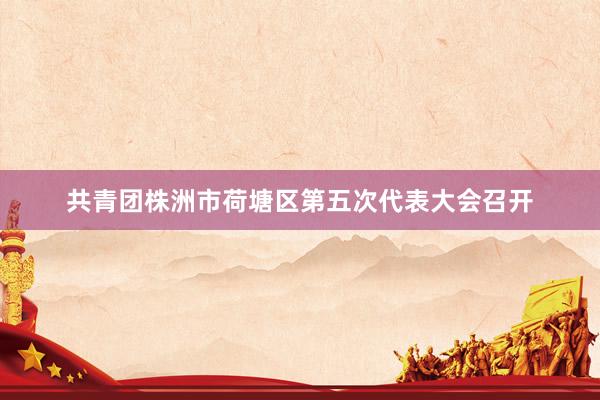 共青团株洲市荷塘区第五次代表大会召开