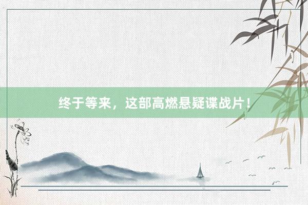 终于等来,这部高燃悬疑谍战片!