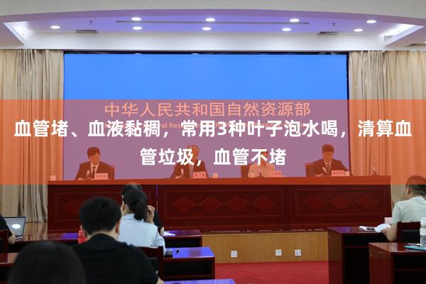 血管堵、血液黏稠，常用3种叶子泡水喝，清算血管垃圾，血管不堵