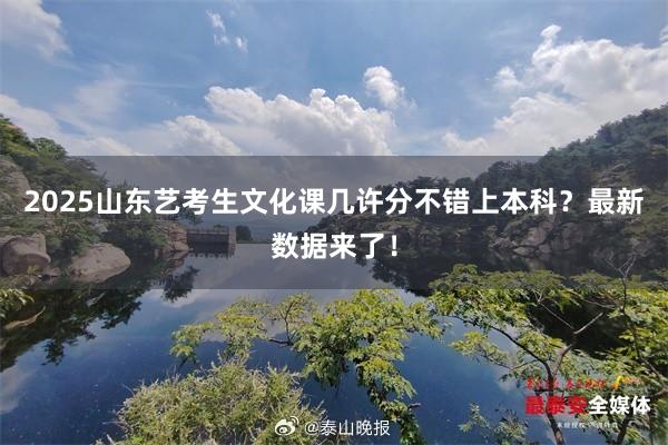 2025山东艺考生文化课几许分不错上本科？最新数据来了！
