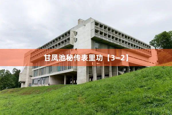 甘凤池秘传表里功【3—2】